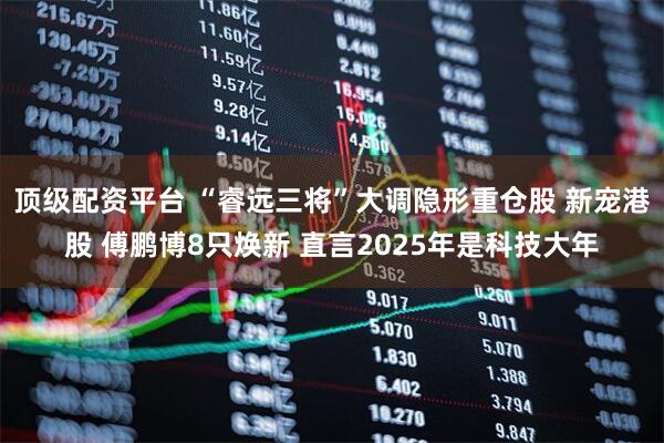 顶级配资平台 “睿远三将”大调隐形重仓股 新宠港股 傅鹏博8只焕新 直言2025年是科技大年