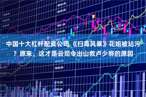 中国十大杠杆配资公司 《扫毒风暴》花姐被玷污？原来，这才是云司令出山救卢少骅的原因